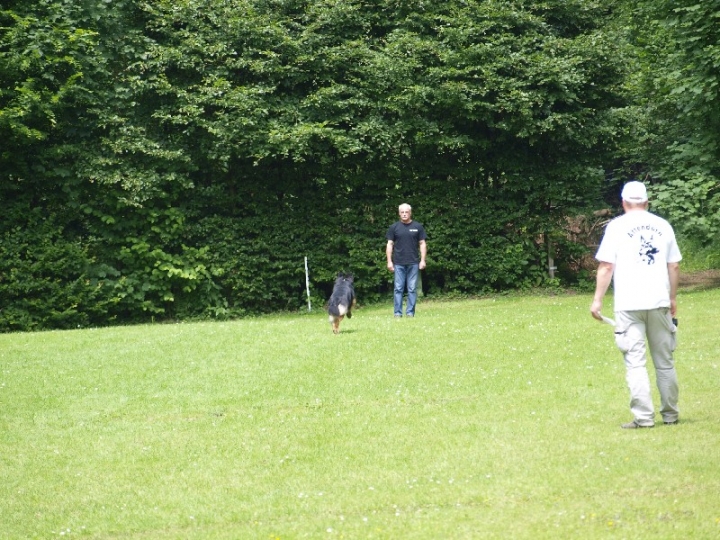 Sauerlandpokalkampf 2013 in Attendorn