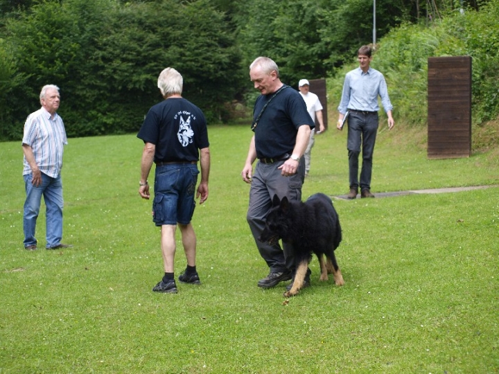 Sauerlandpokalkampf 2013 in Attendorn