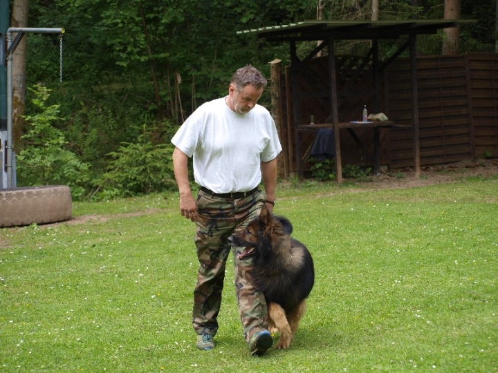 Sauerlandpokalkampf 2013 in Attendorn