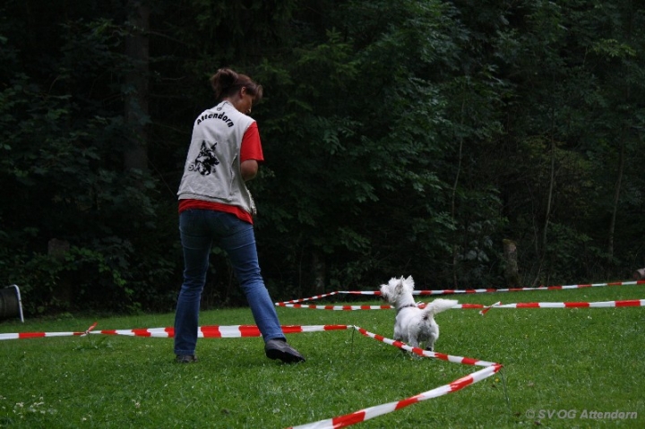 Longieren in der OG Attendorn