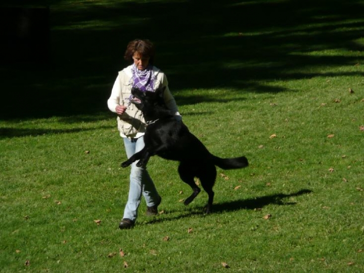 Herbstprüfung 2010