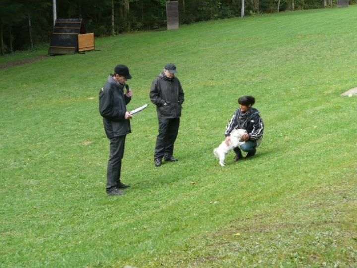 Herbstprüfung 2012