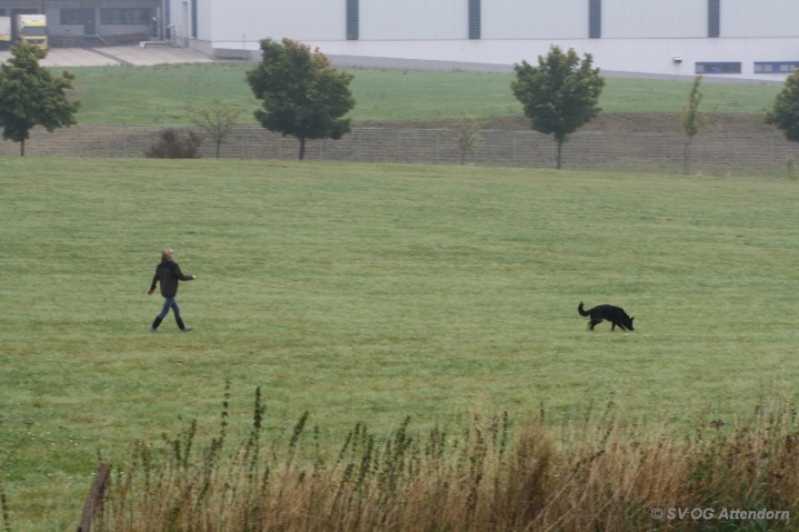 Herbstprüfung 2013