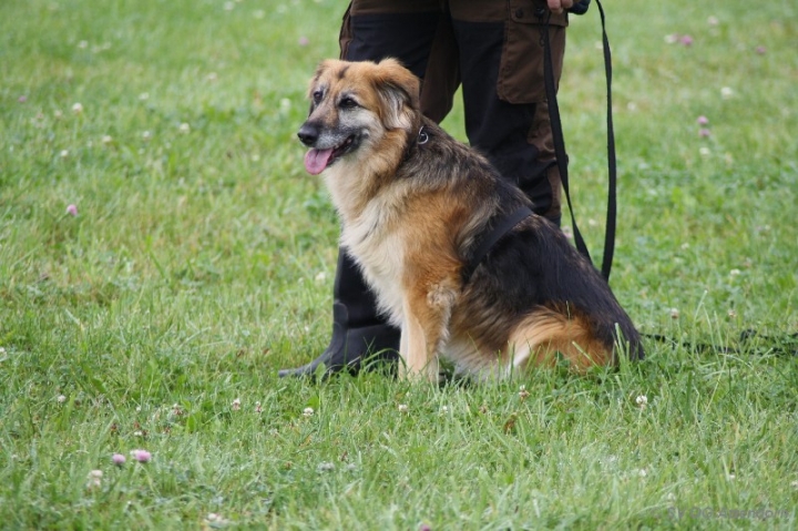 Herbstprüfung 2013