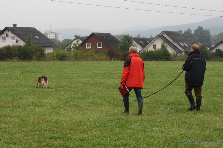 Herbstprüfung 2013