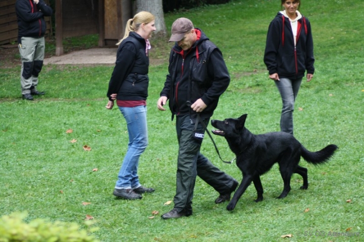 Herbstprüfung 2013