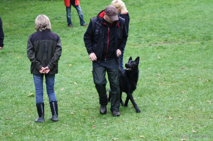 Herbstprüfung 2013