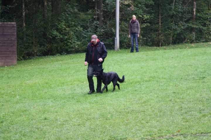 Herbstprüfung 2013