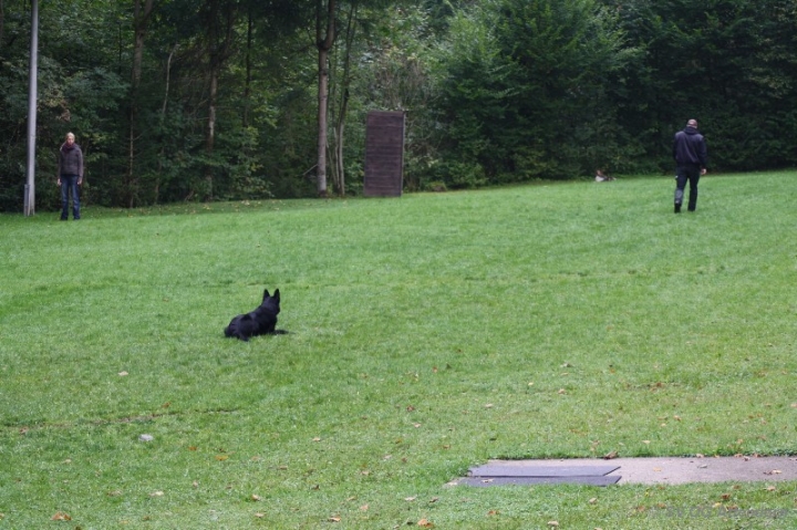 Herbstprüfung 2013