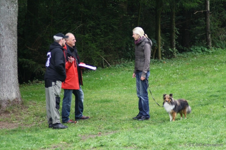 Herbstprüfung 2013