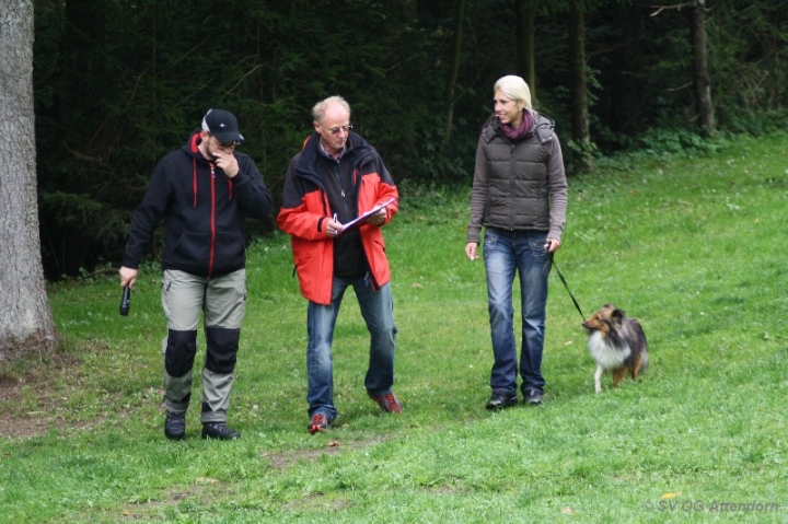 Herbstprüfung 2013