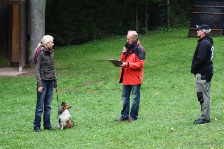 Herbstprüfung 2013