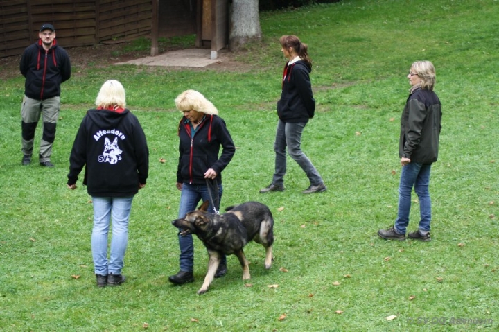 Herbstprüfung 2013