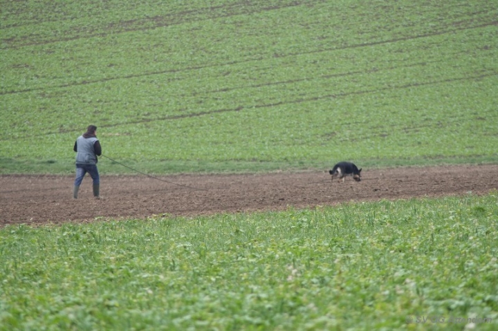 Herbstprüfung 2013