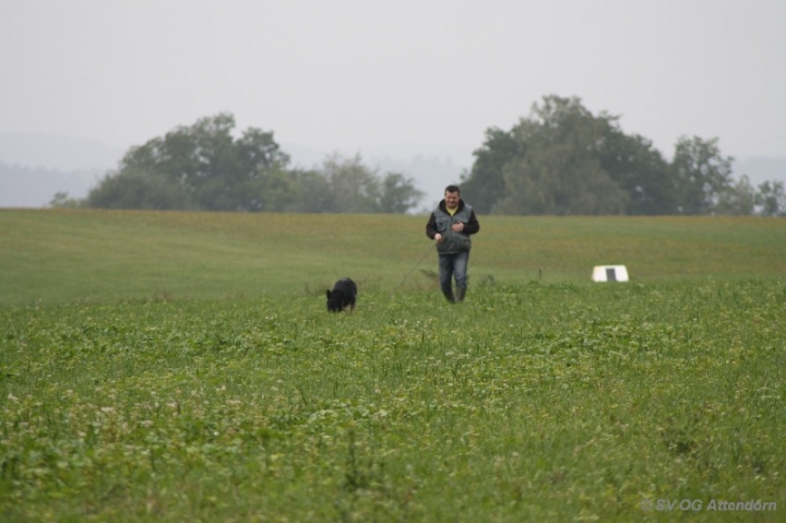 Herbstprüfung 2013