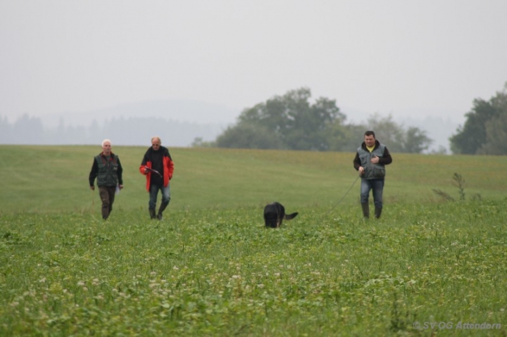 Herbstprüfung 2013