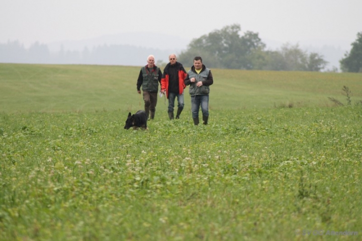 Herbstprüfung 2013