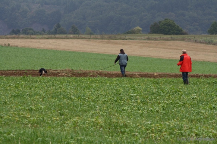 Herbstprüfung 2013