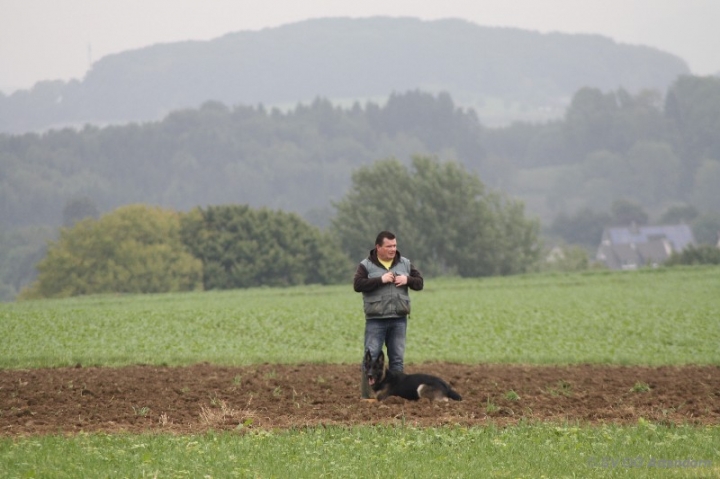 Herbstprüfung 2013